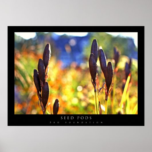 Poster Pots de semences (Devant)