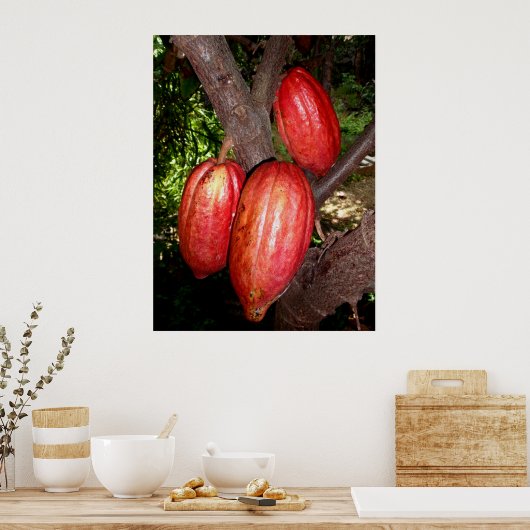 Poster Pots Hawaïens Cacao (Cuisine)