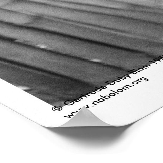 Poster Potter ~ Amatenango del Valle, Chiapas, Mexique (Coin)