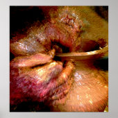 Poster Potter's Hands #2 (Devant)