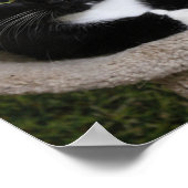 Poster Pouce vers le haut (Coin)