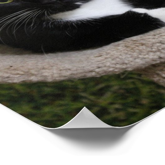 Poster Pouce vers le haut (Coin)