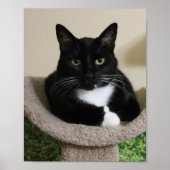 Poster Pouce vers le haut (Devant)