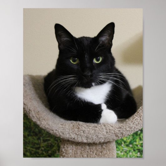 Poster Pouce vers le haut (Devant)