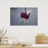 Poster Poudre à la mode (Cuisine)