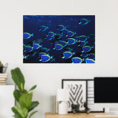Poster Poudre de l'école Bleu Surgeonfish (Bureau à domicile)
