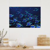 Poster Poudre de l'école Bleu Surgeonfish (Cuisine)