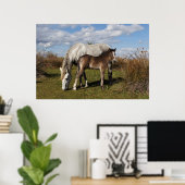 Poster Poulain Camargue avec sa mère (Bureau à domicile)