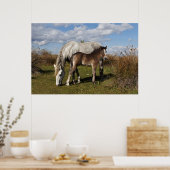 Poster Poulain Camargue avec sa mère (Cuisine)