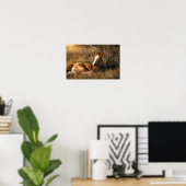 Poster Poulain qui somnole (Bureau à domicile)