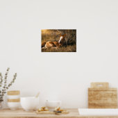 Poster Poulain qui somnole (Cuisine)