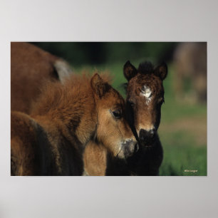 Poster Poulains 2 de miniature