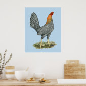 Poster Poule de Combat Bleu Rouge (Cuisine)