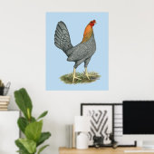 Poster Poule de Combat Bleu Rouge (Bureau à domicile)
