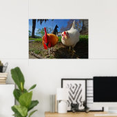 Poster poule et coq (Bureau à domicile)