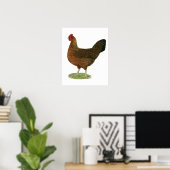 Poster Poule Welsummer (Bureau à domicile)