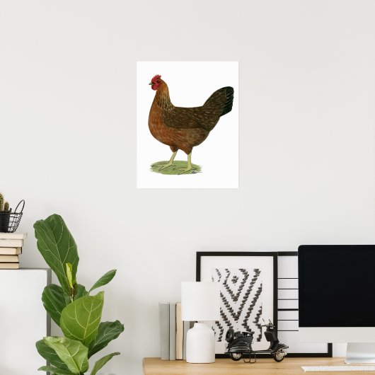 Poster Poule Welsummer (Bureau à domicile)
