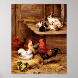 Poster Poules de coq de lapin animaux animaux de ferme la