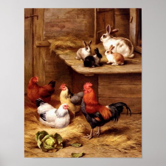 Poster Poules de coq de lapin animaux animaux de ferme la (Devant)