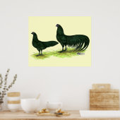 Poster Poules Sumatra noires (Cuisine)