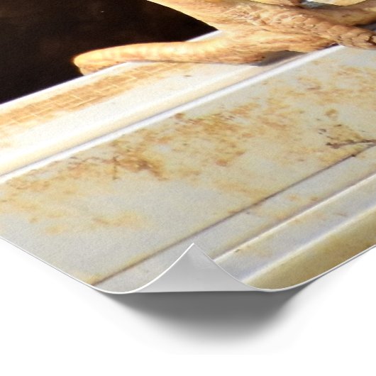 Poster Poulet (Coin)