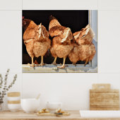 Poster Poulet (Cuisine)