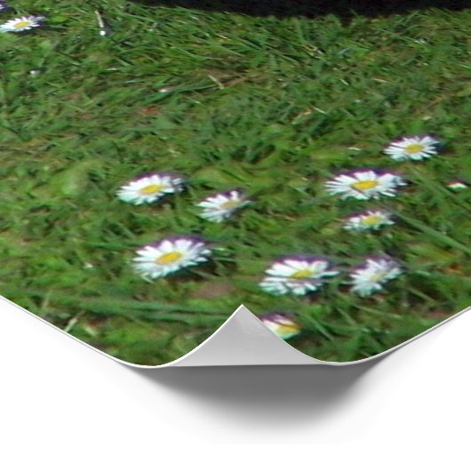 Poster Poulet (Coin)