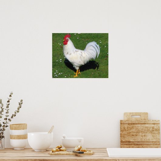 Poster Poulet (Cuisine)