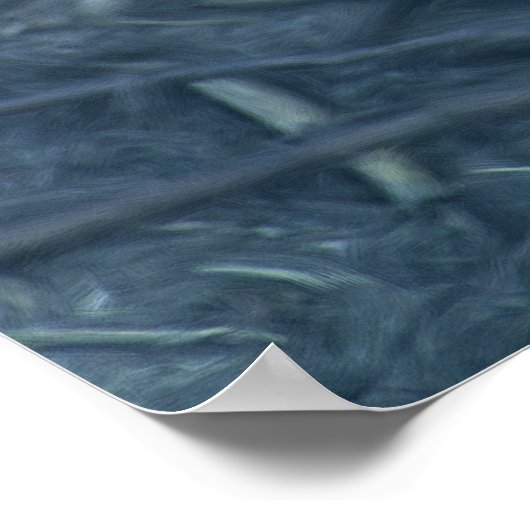 POSTER POULET (Coin)