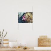 POSTER POULET (Cuisine)