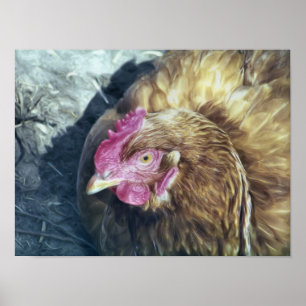 POSTER POULET
