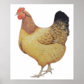 Poster Poulet 2012 (Devant)