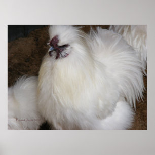 Poster Poulet à pâte feuilletée 2
