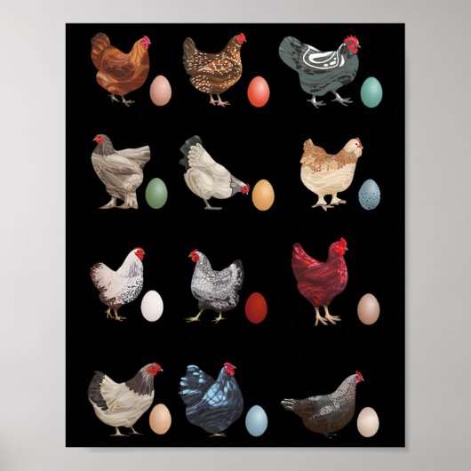 Poster Poulet Amusant Avec Oeufs Pâques Jour Poulet Cl te (Devant)