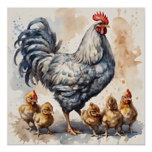 Poster Poulet d'aquarelle avec poules no 2 (Devant)