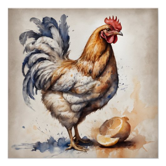 Poster Poulet d'aquarelle no 2 (Devant)