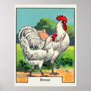 Poster Poulet de Bresse vintage