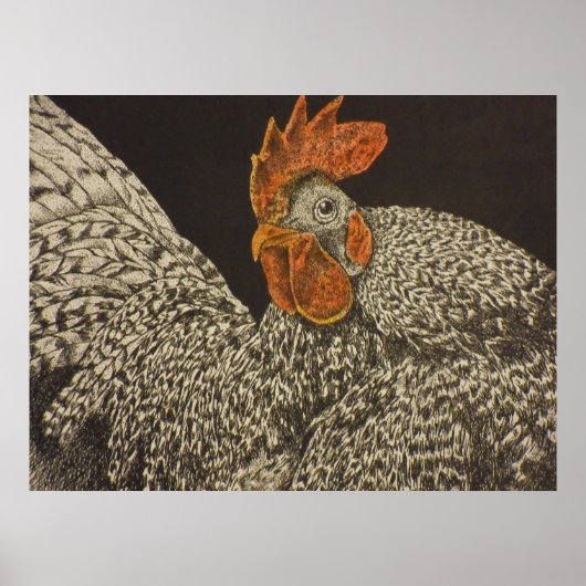 Poster poulet dominicain (Devant)