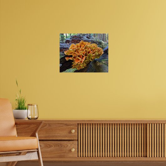 Poster Poulet d'orange de la forêt Champignon (Salon 2)