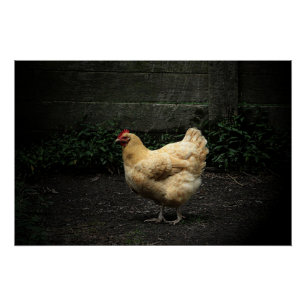 Poster Poulet du pays
