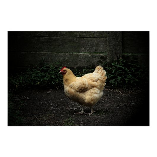 Poster Poulet du pays (Devant)