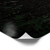 Poster Poulet du pays (Coin)