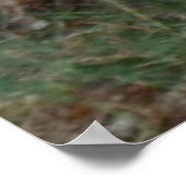 Poster Poulet en soie teint cravate dans les couleurs pas (Coin)