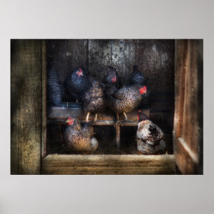 Poster Poulet - La Maison Hen