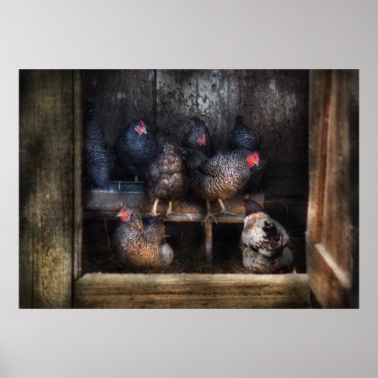Poster Poulet - La Maison Hen (Devant)