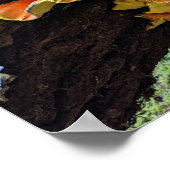 Poster Poulet orange du champignon des bois (Coin)