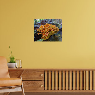 Poster Poulet orange du champignon des bois