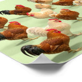 Poster Poulet sur fond vert clair (Coin)