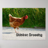 Poster Poulet Traversant La Route Imprimer (Devant)