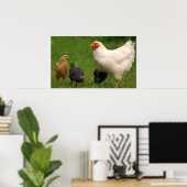 Poster Poulets (Bureau à domicile)